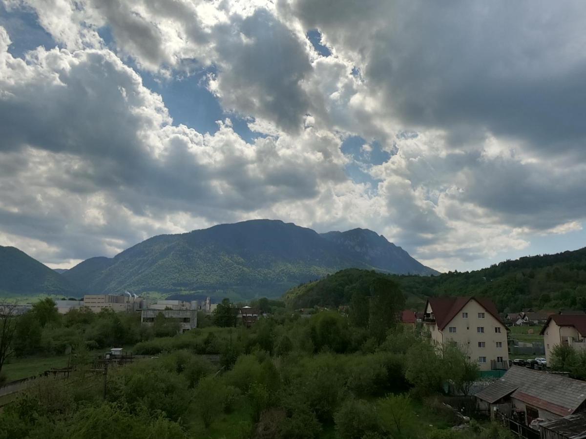 Panoramic Residence Zarnesti Exterior photo